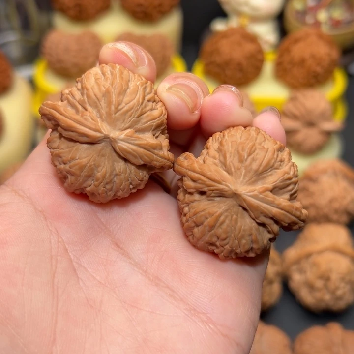 精***、核桃38全品白狮子