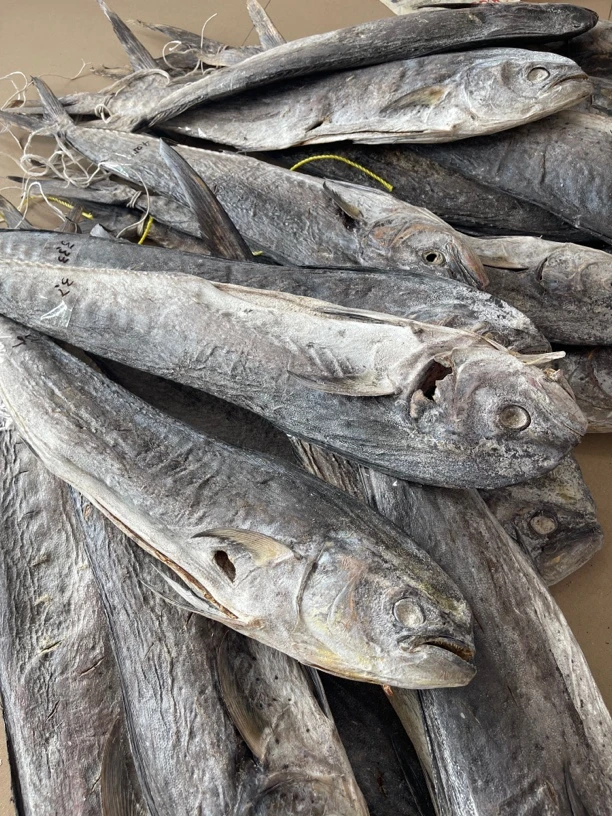 汕尾马宫本港就船厚刀鱼 咸鱼做茄子煲特别下饭 汕尾特产海鱼干货