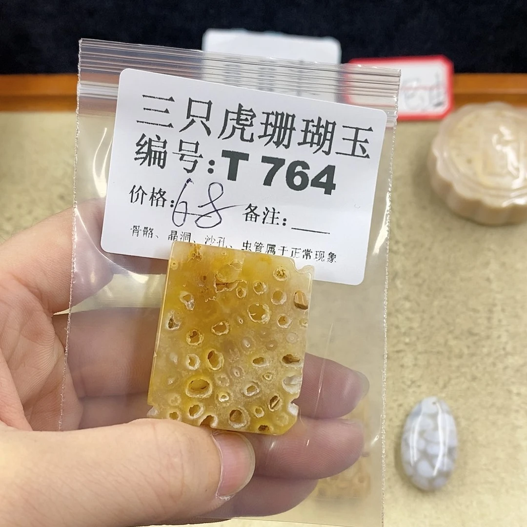 硅化珊瑚（珊瑚玉）1未镶嵌飘