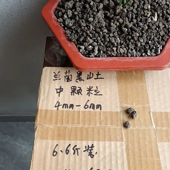 亦***宁兰菌黑山土中颗粒6.6斤