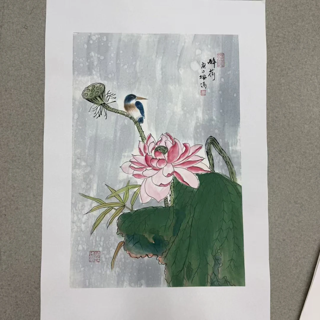 梅清绘画2.7pc花鸟