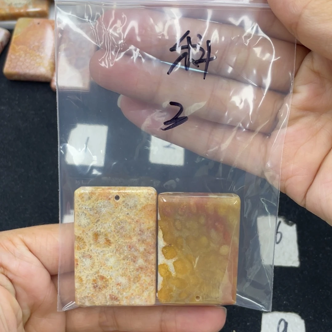 硅化珊瑚（珊瑚玉）颈饰合金科*娜