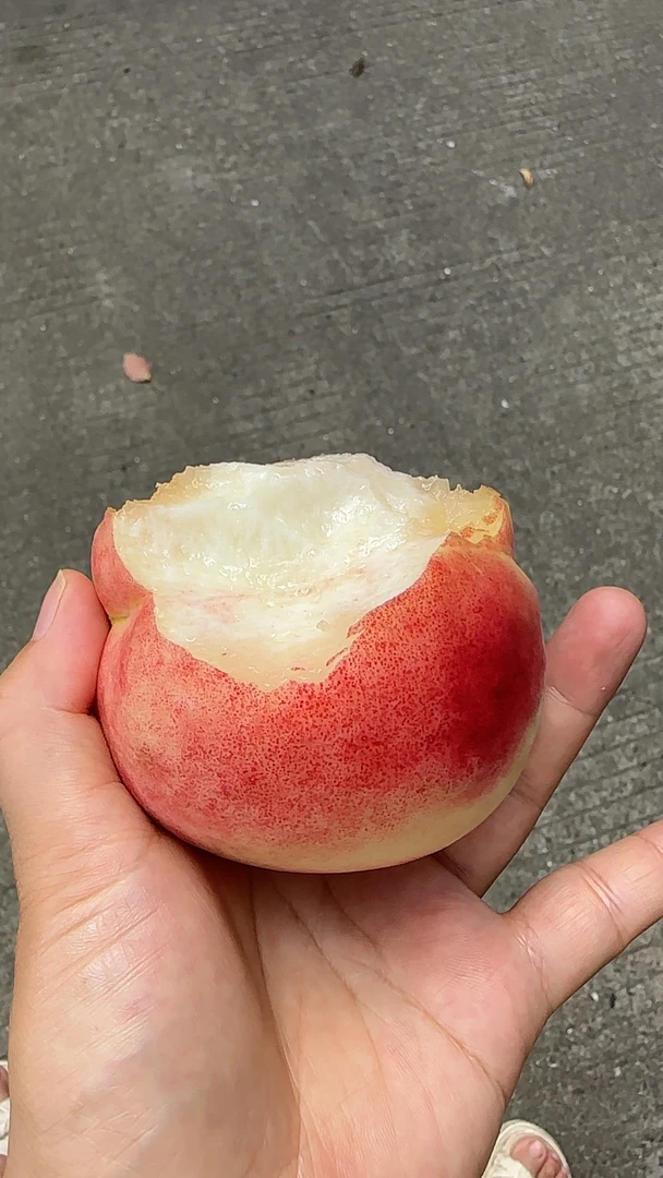 山西运城红不软毛桃