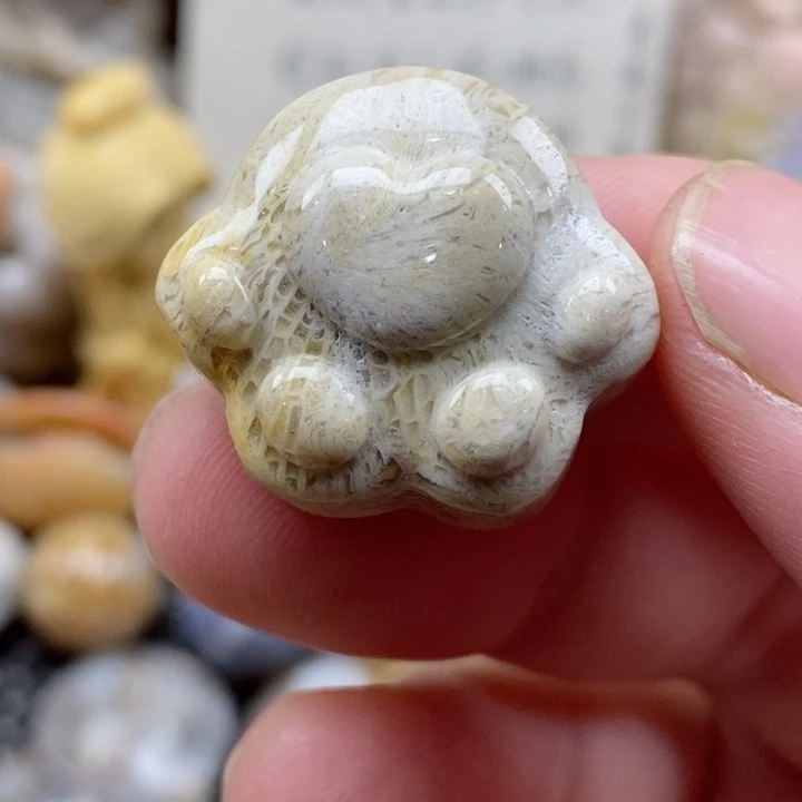 颈饰未镶嵌硅化珊瑚（珊瑚玉）小