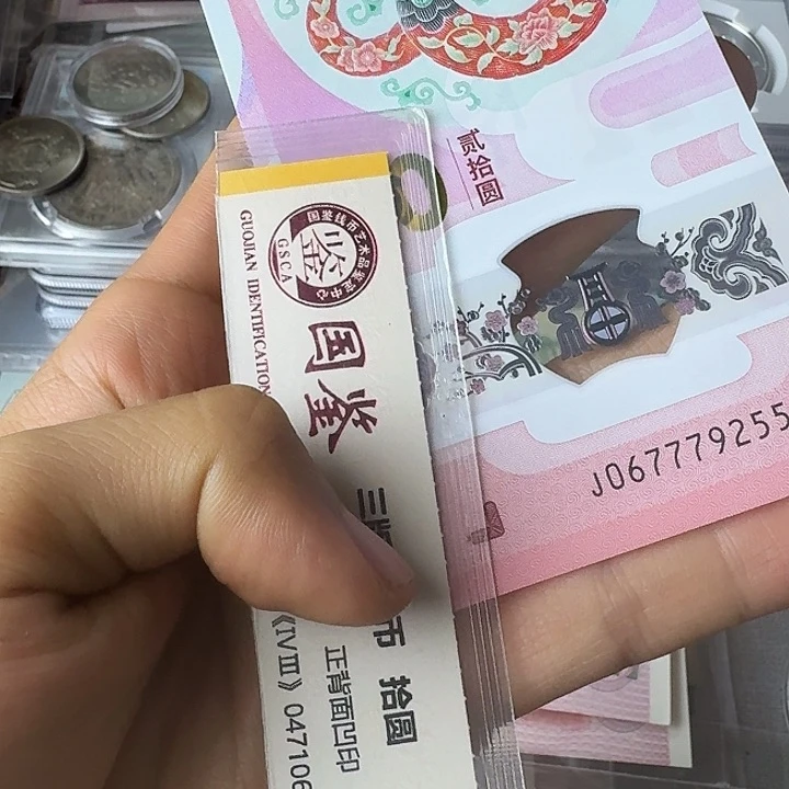 全新的豹子身无34…………尾55……