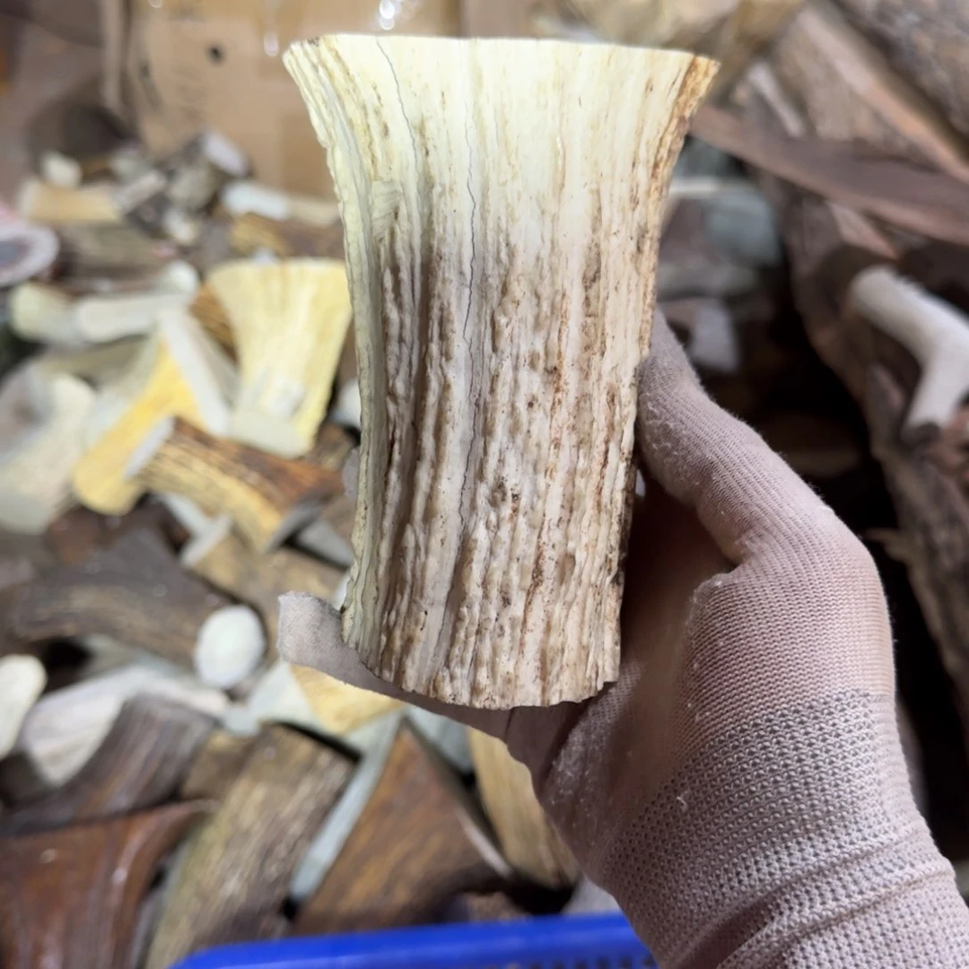 袁*洪鹿角材料655克