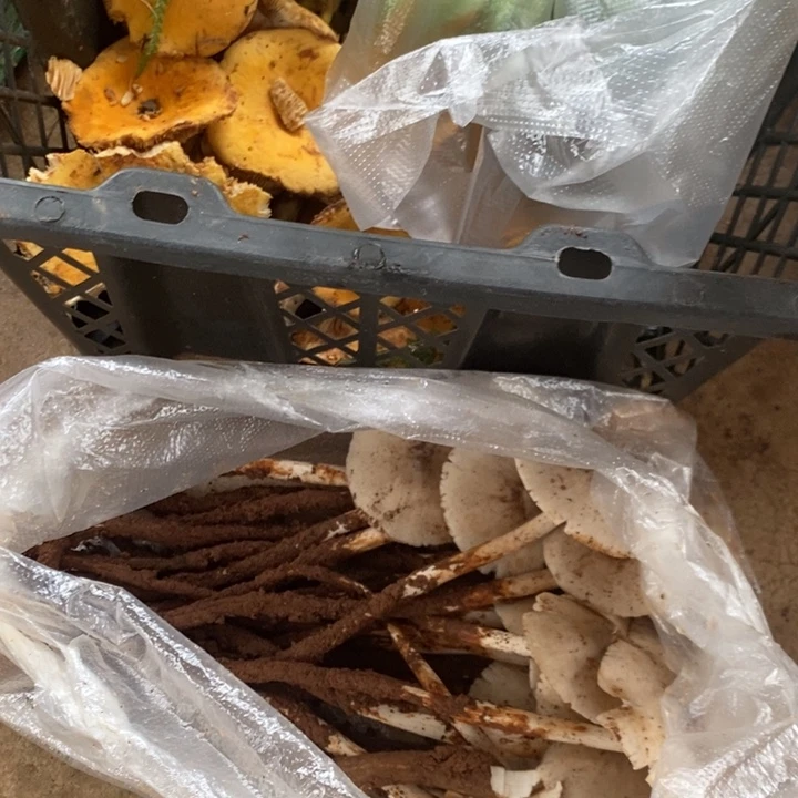 那***光大陆中国云南省石屏县中国大陆