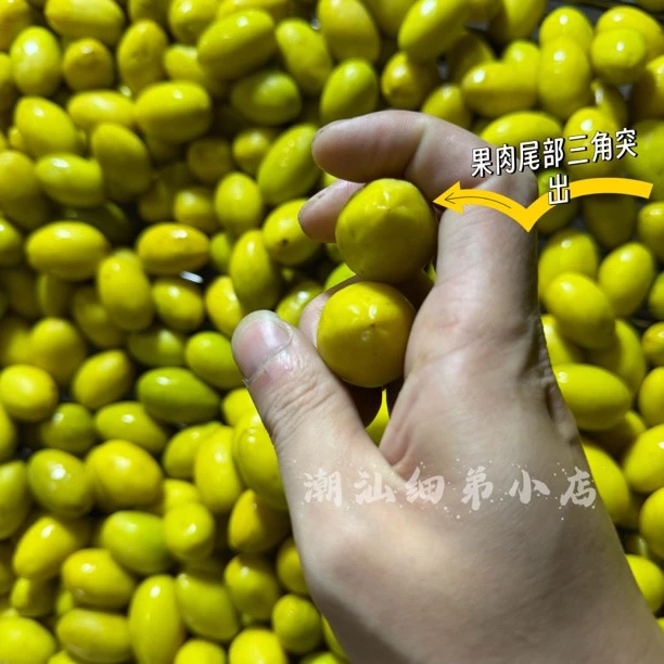 正宗潮汕金灶老丛三捻橄榄  酥甘香无渣不甜  一斤装