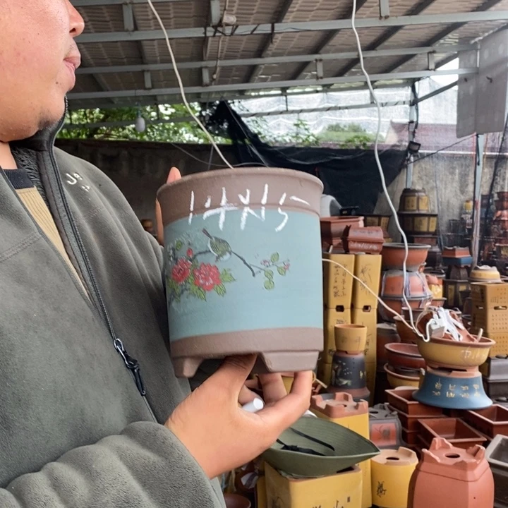 紫砂花盆盆栽花卉苗木种植