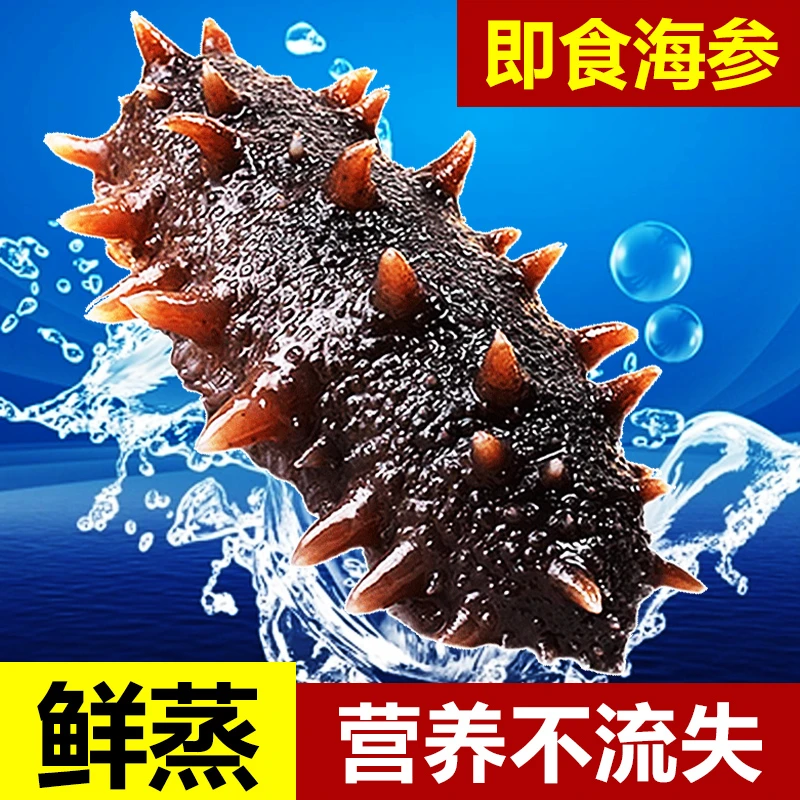 鲜食海参 即食底播海参 500g/袋