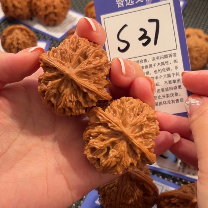 核桃S37号苹果园44尺