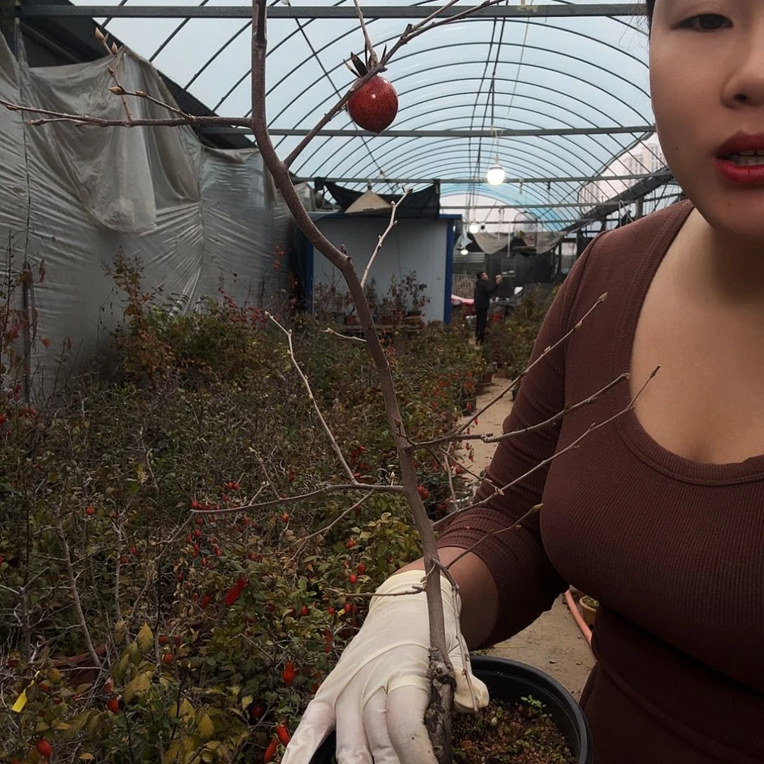 木***务完全开放老鸭狮子