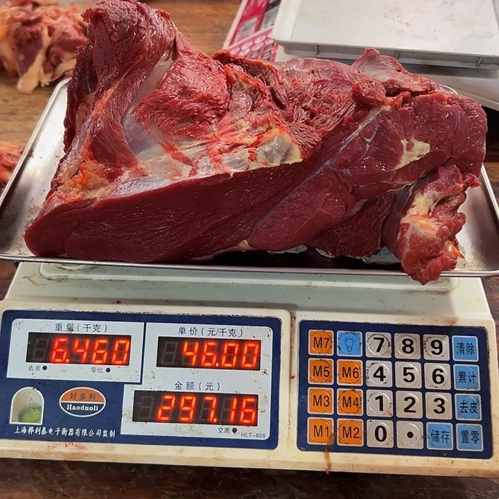广西土耕马马肉、沙姜炒马肉中国大陆