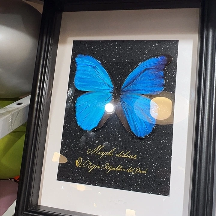 有机玻璃98776443223455