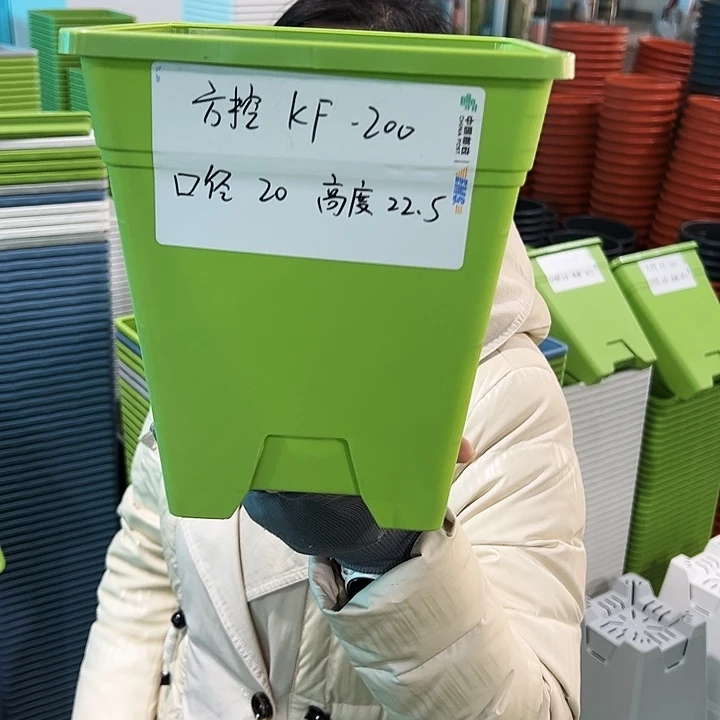 正品方盆口20高22果绿无托6只