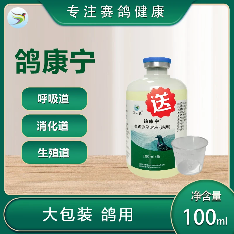 凌云鸽鸽康宁种鸽赛鸽幼鸽可用