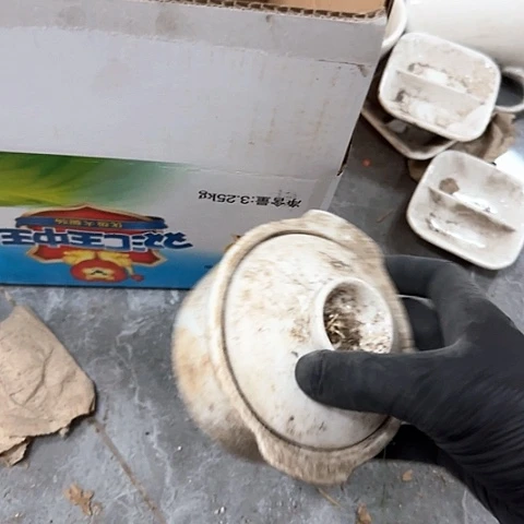 瓷片国营厂库存微瑕10厘米