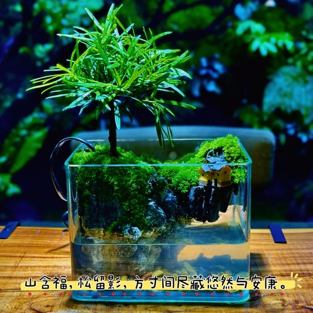 揽山「福山松影」桌面绿植生态瓶斗鱼家用流水小鱼缸 18×12×15厘米
