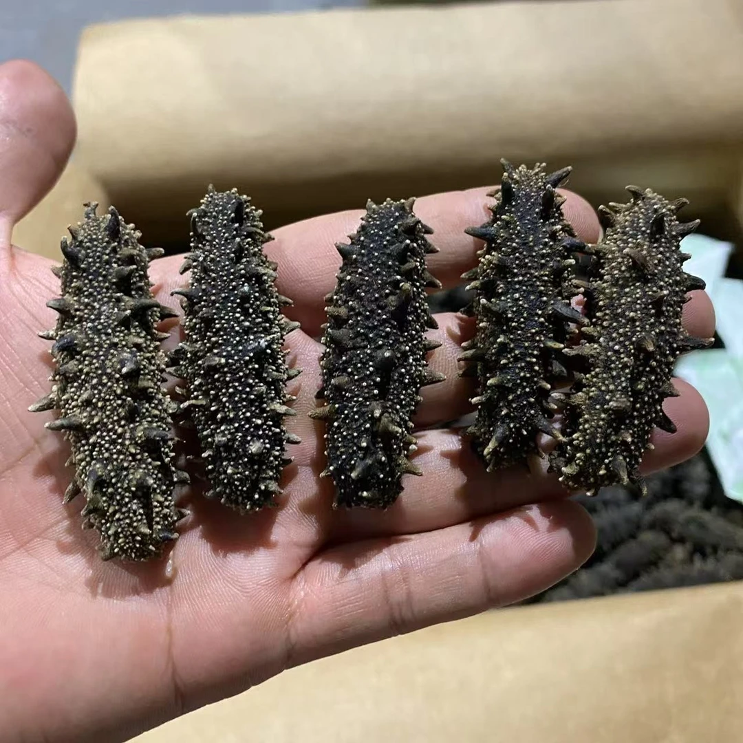 大连淡干海参，泡发率高多刺（45头）500g