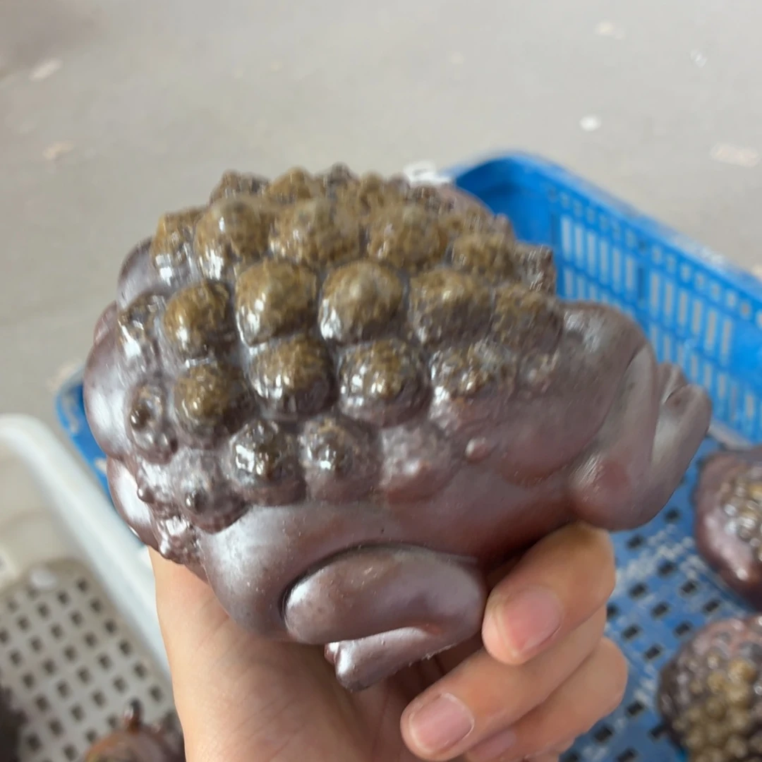 陶园柴烧精品好货61