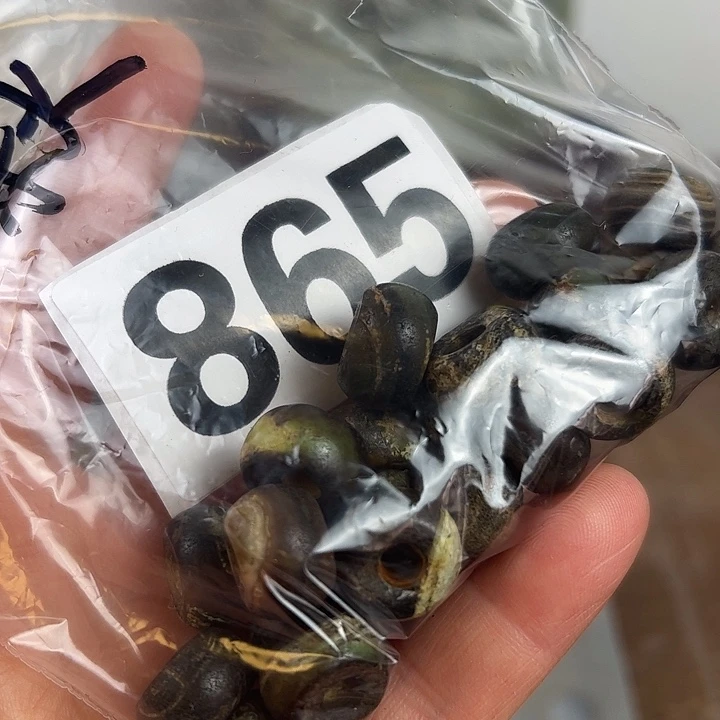 玛瑙/玉髓颈饰未镶嵌秋*虎