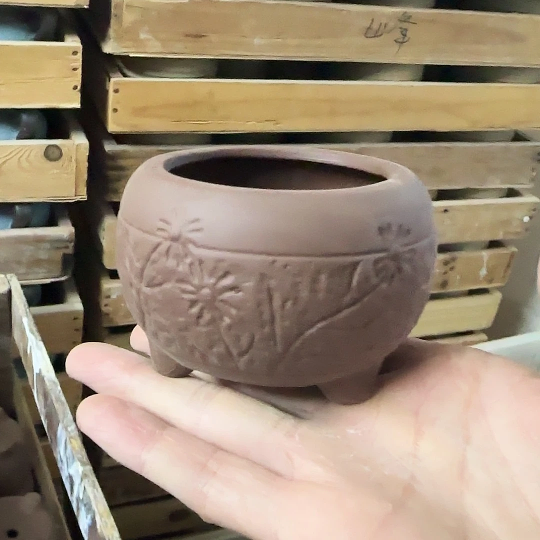 福利局绿植多肉盆［凑9元包邮24小时发］1513