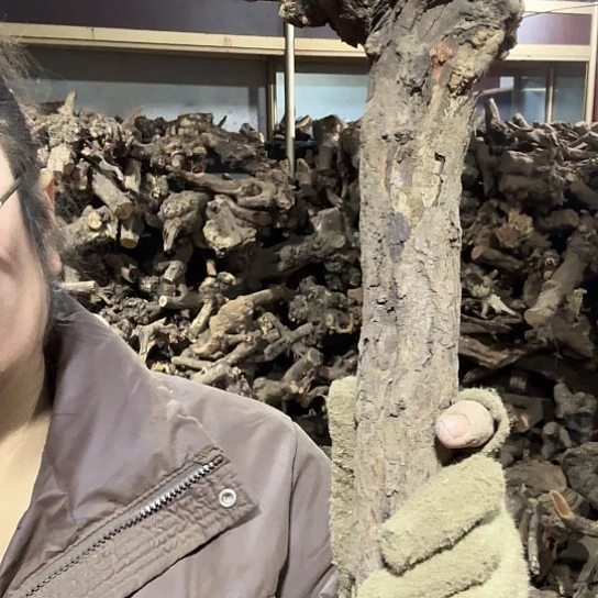 香榧木米*鼠火琉璃的故事毛料摆件