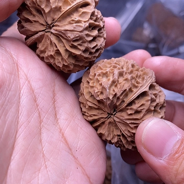 文玩核桃把件   60