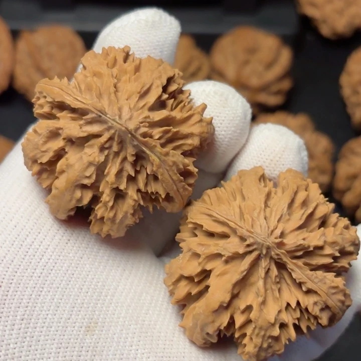 文玩核桃吊坠秦岭野生灯笼11