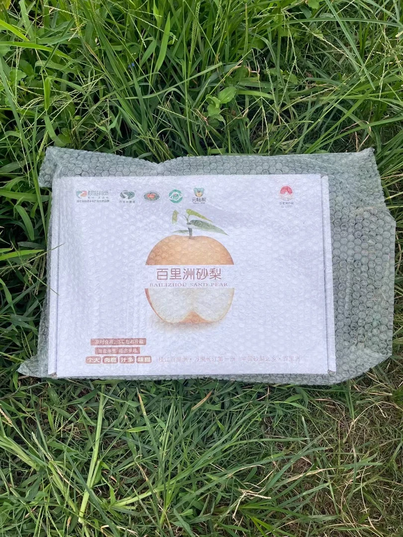 枝江市百里洲镇砂梨 产地直发 现摘现发