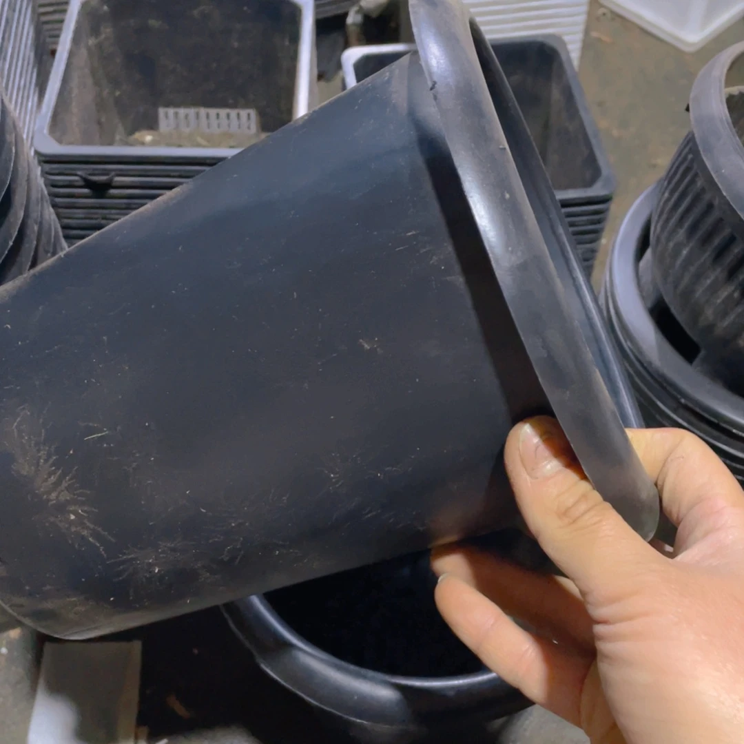 塑料口径18高度20厘米黑兰花盆10个