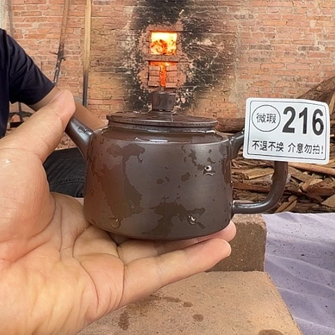 戬谷龙窑柴烧茶壶216