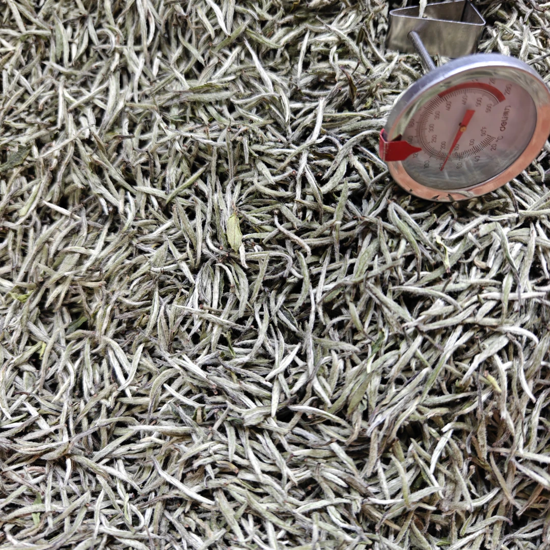 【政和时代】2025年白毫银针.传统炭焙.含水率低.青味少.香气高