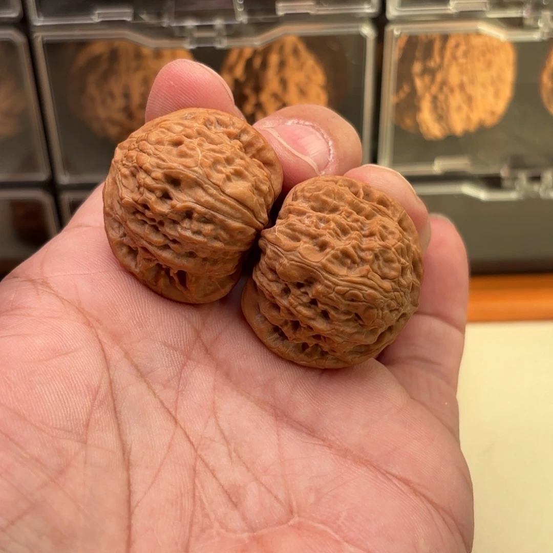 文玩核桃把件白狮子