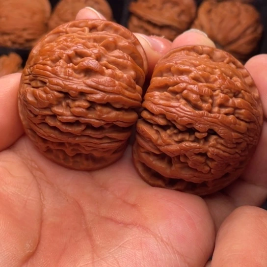 文玩核桃把件秦岭山脉核桃