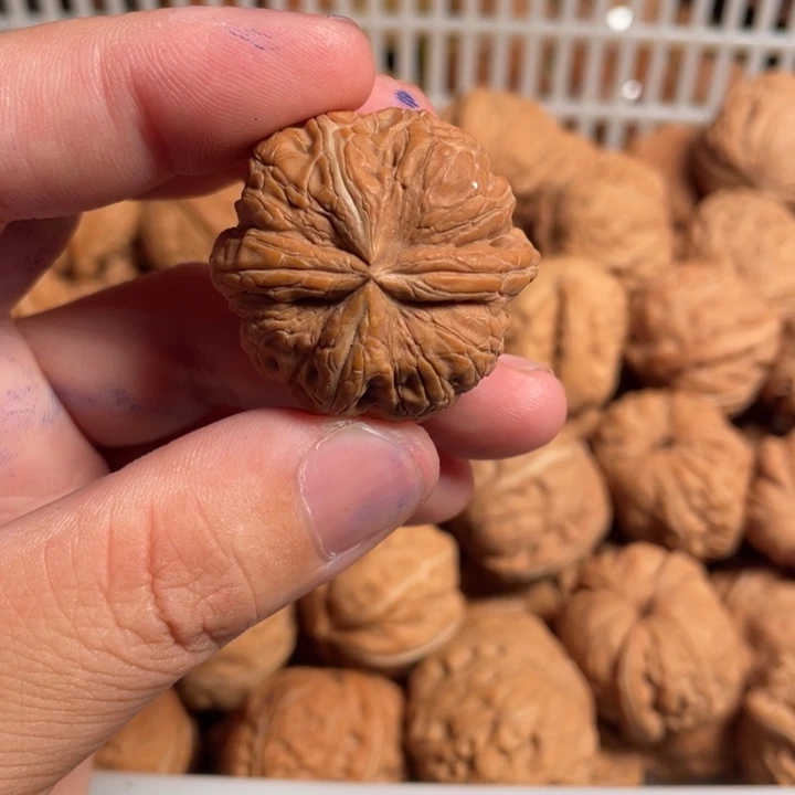 文玩核桃把件森***1核桃
