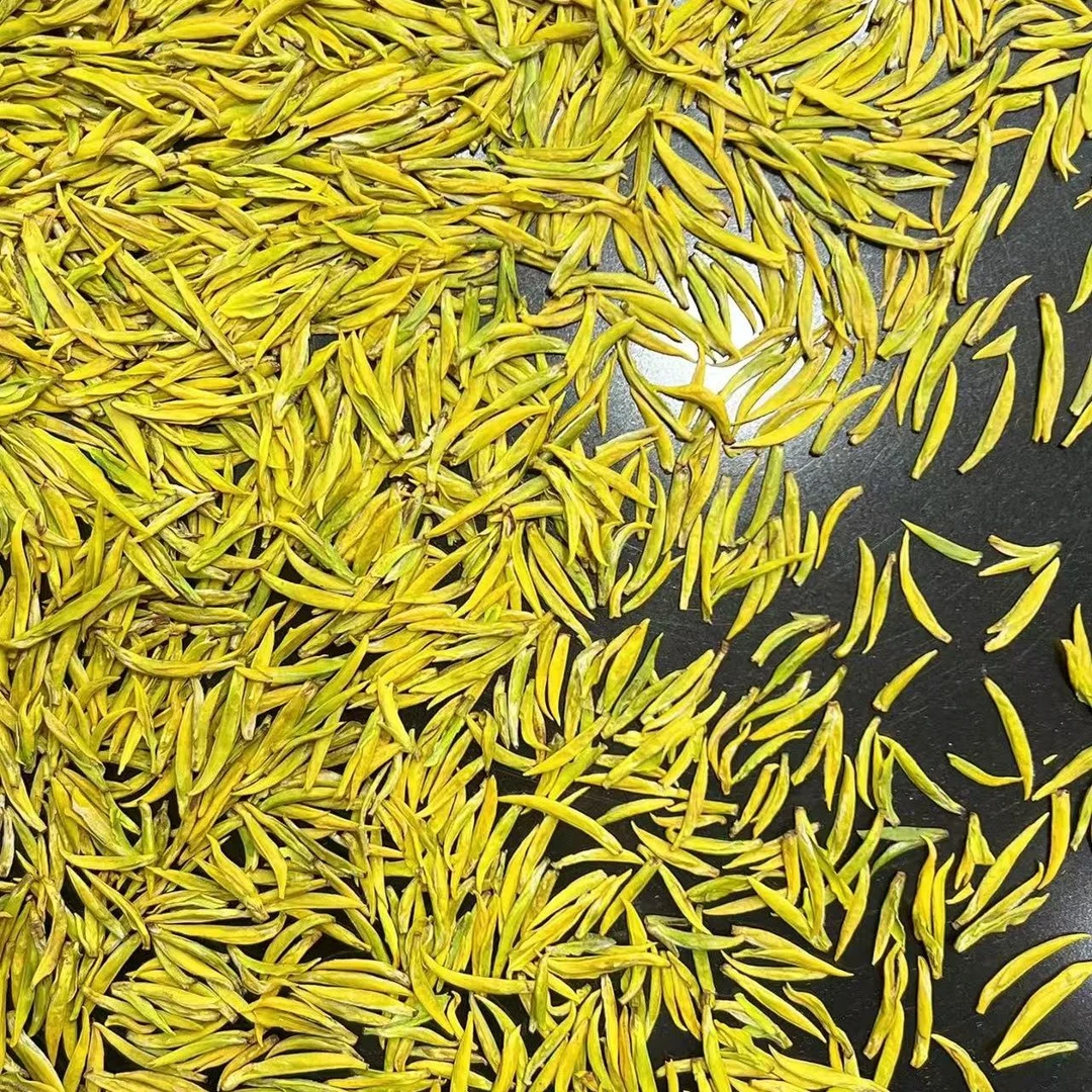 奶白黄金芽2025新茶 高山小芽 支持试喝