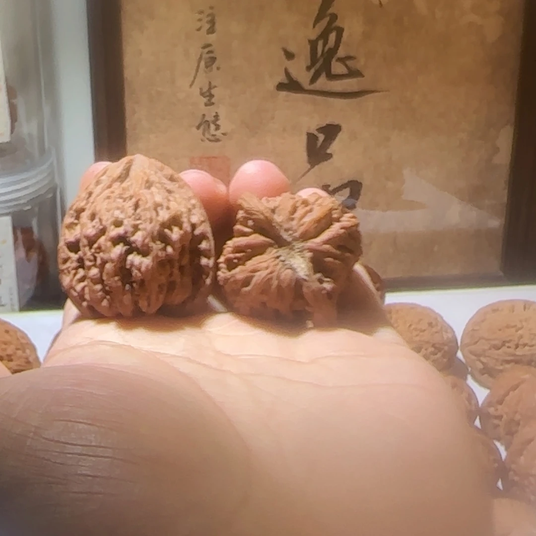 无药老款密文（全品精对）