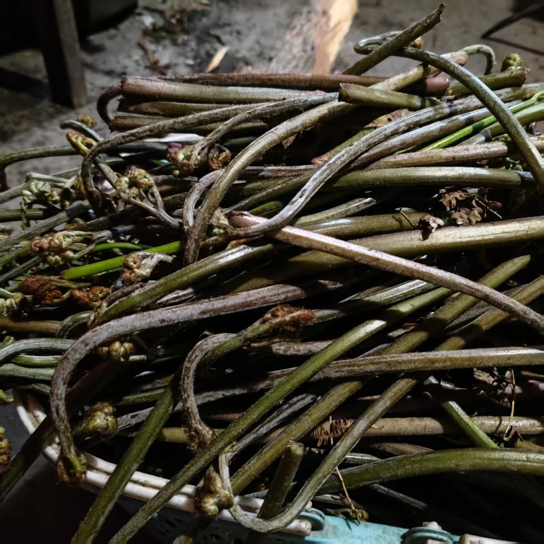 农家纯手工野生蕨菜