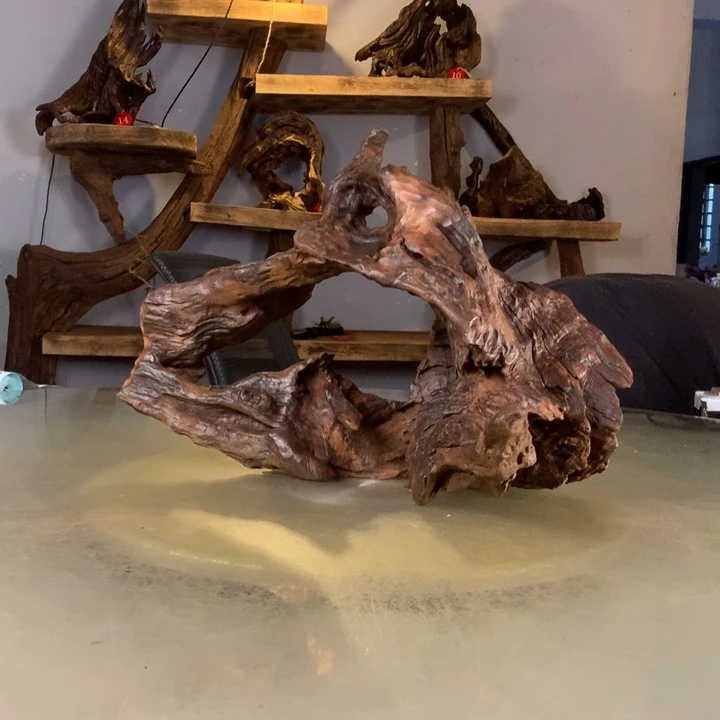 定***师天然的云南紫柚木会黄水