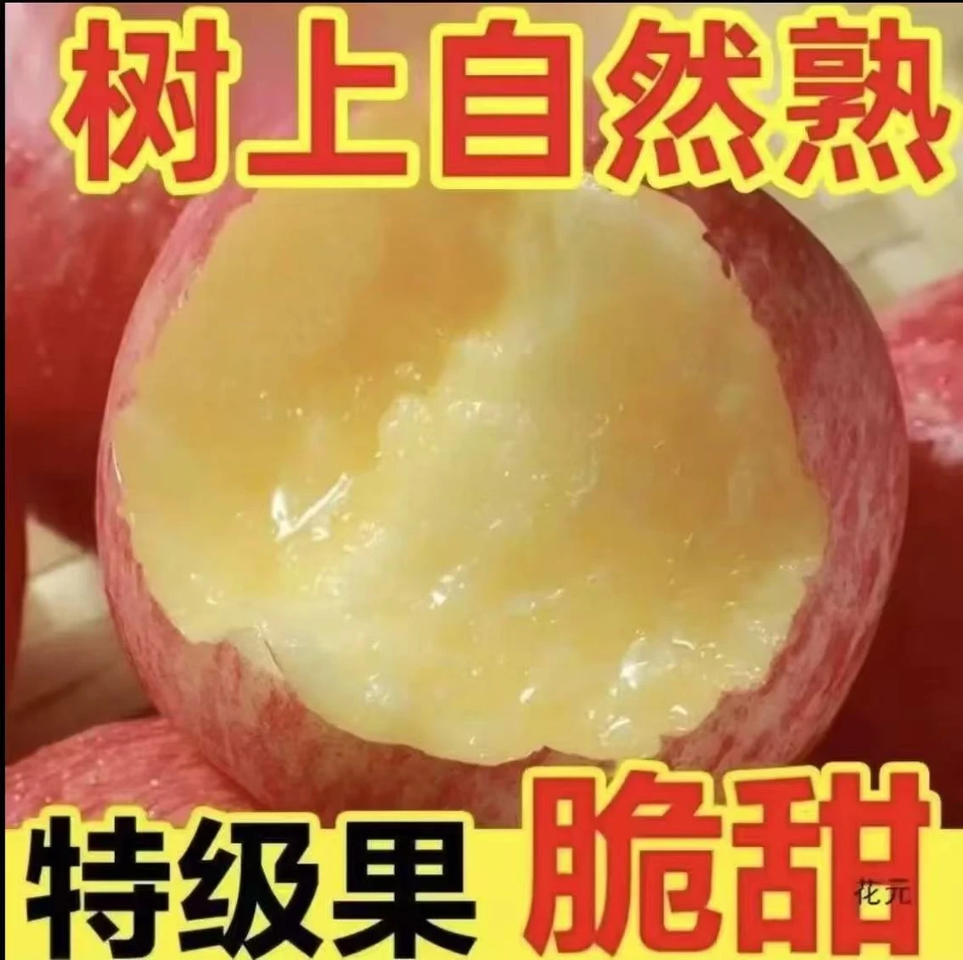 2025年正宗红富士苹果山东脆甜多汁农场直销
