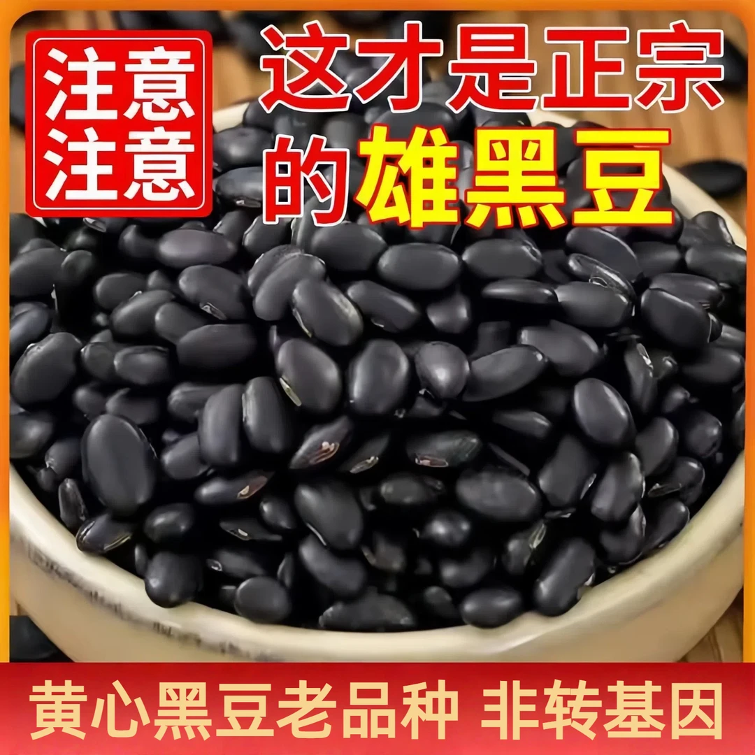 肾形黄心黑豆老品种黄心黑豆纯黑豆五谷杂粮农家自种可打豆浆煮水