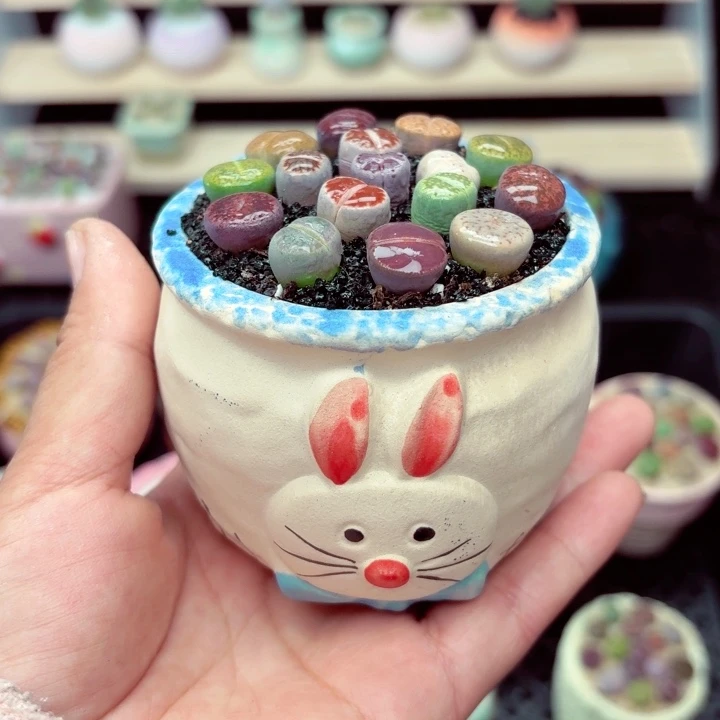 6059零下地区记得拍保温箱