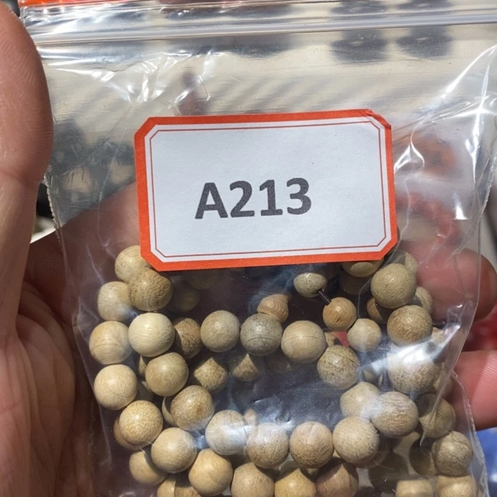东非黑黄檀（紫光檀）213