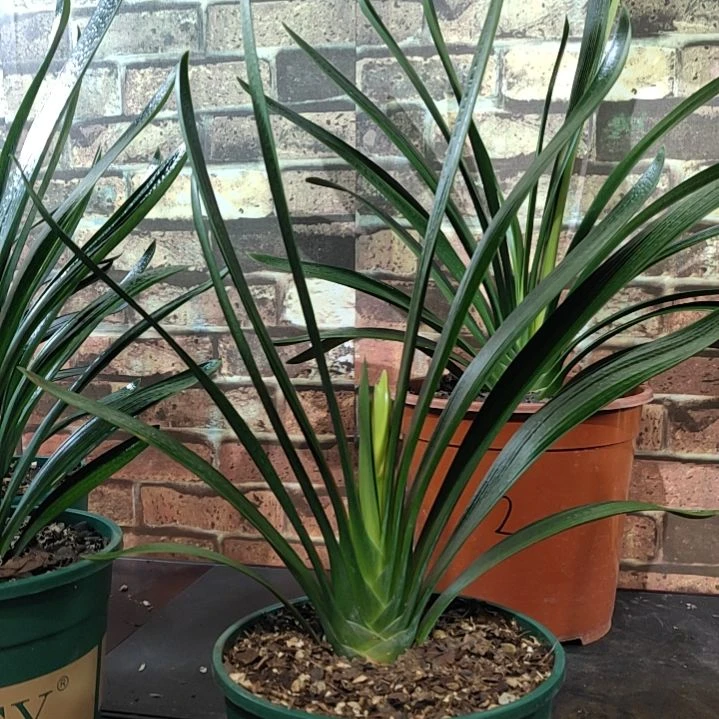 完全开放1111111111