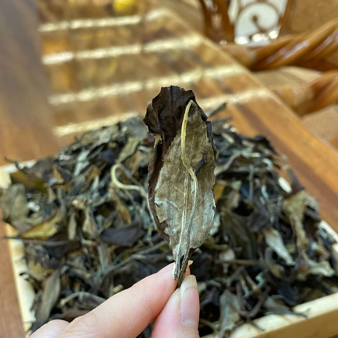 2012年云南古树月光白茶 白牡丹寿眉老白茶 蜜香枣香药香
