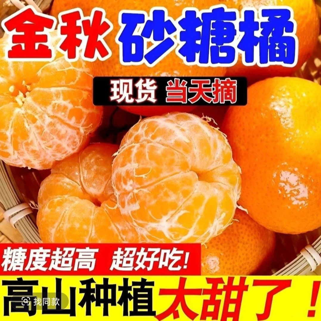 正宗砂糖橘广西金秋沙糖桔爆甜蜜桔超新鲜小橘子水果整箱批发