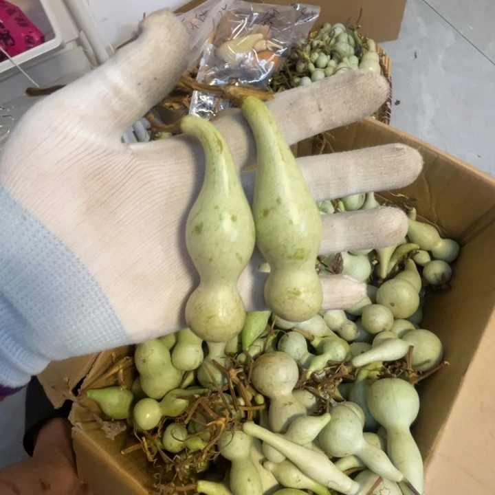 麻***休葫芦葫芦葫芦葫芦