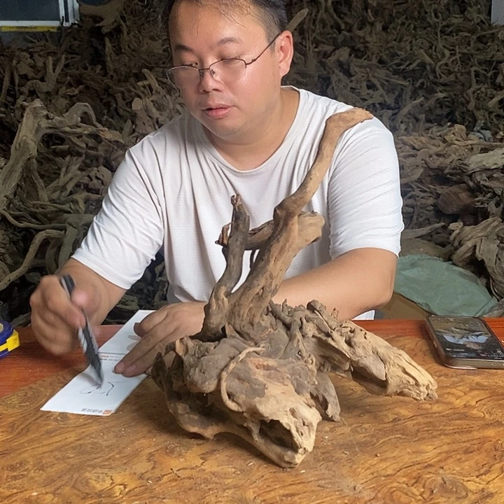 木00050号杜鹃根雕原木鱼缸摆件装饰