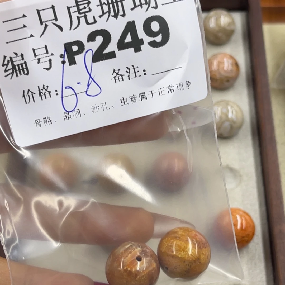 我***品硅化珊瑚（珊瑚玉）h未镶嵌